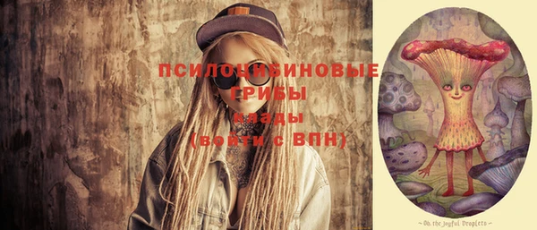 молекула духа Осинники