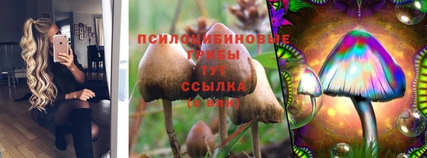mix Алексеевка