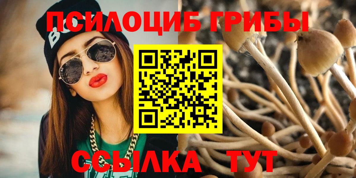 Галлюциногенные грибы прущие грибы Карачаевск