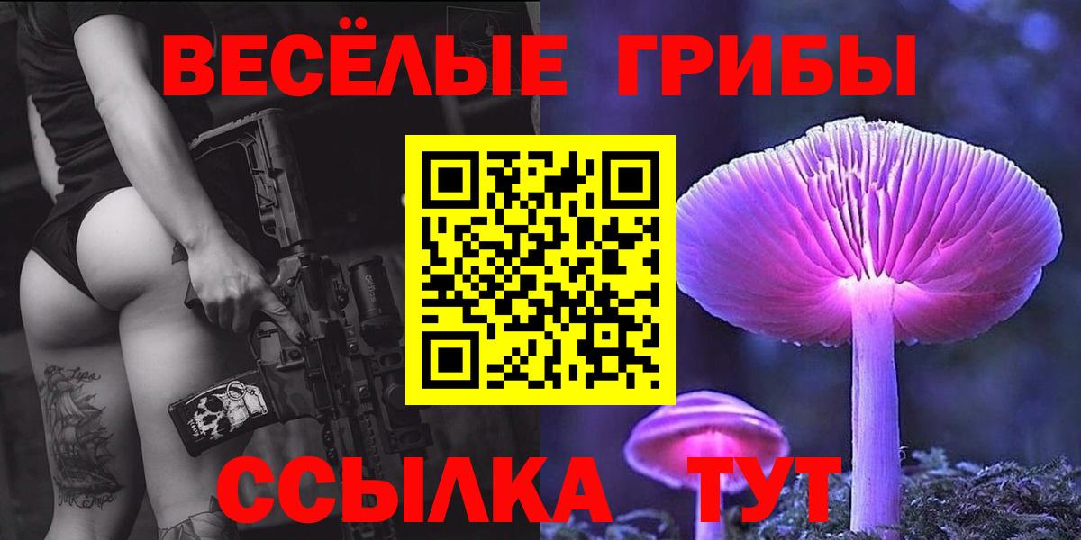 Карачаевск  Псилоцибиновые грибы MAGIC MUSHROOMS  Вход с VPN 